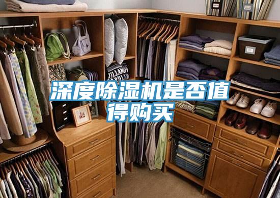 深度除湿机是否值得购买