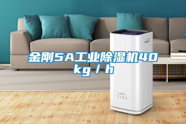金刚5A工业除湿机40kg／h