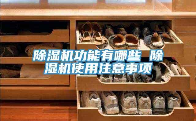 除湿机功能有哪些 除湿机使用注意事项
