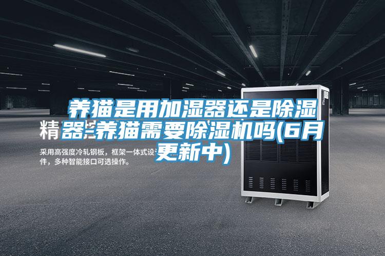 养猫是用加湿器还是除湿器-养猫需要除湿机吗(6月更新中)