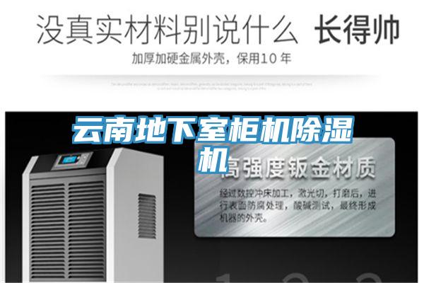 云南地下室柜机除湿机