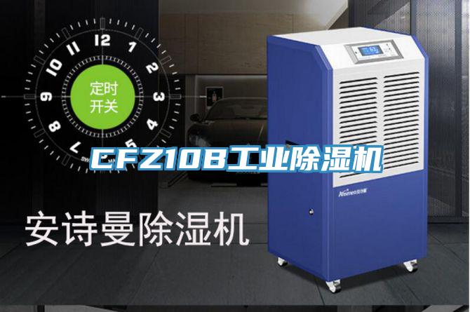 CFZ10B工业除湿机