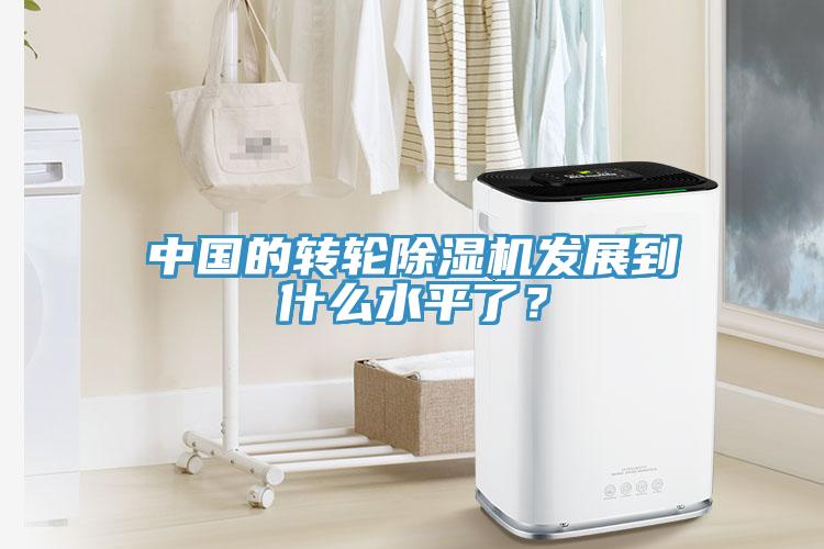 中国的转轮除湿机发展到什么水平了？