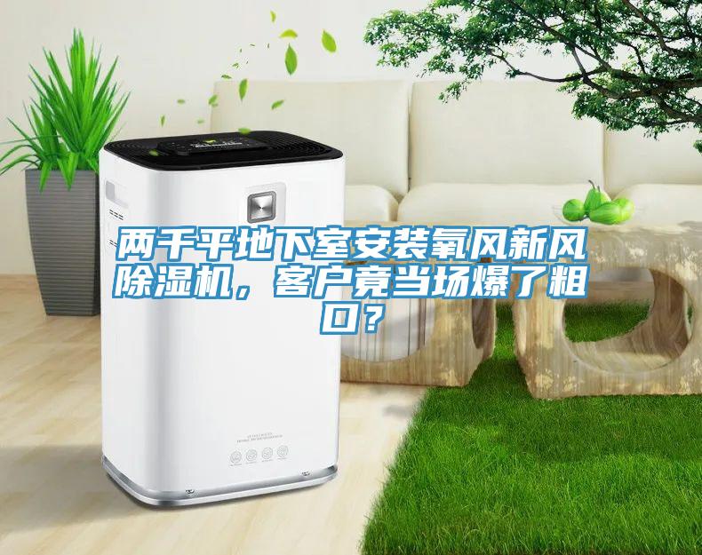 两千平地下室安装氧风新风除湿机，客户竟当场爆了粗口？