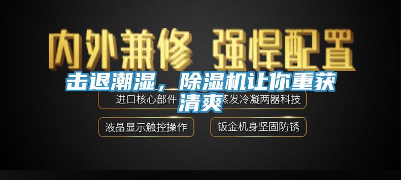 击退潮湿，除湿机让你重获清爽
