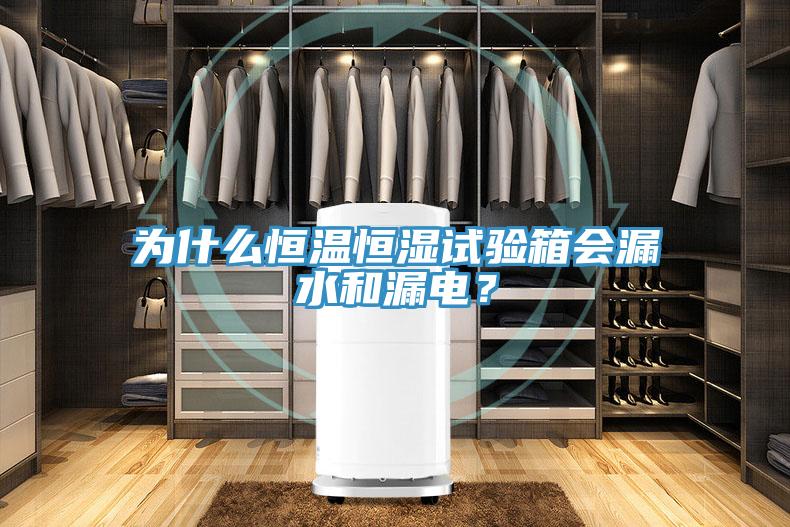 为什么恒温恒湿试验箱会漏水和漏电？