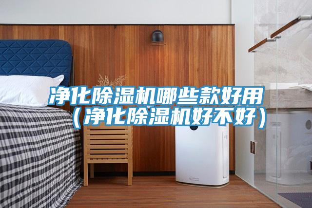 净化除湿机哪些款好用（净化除湿机好不好）