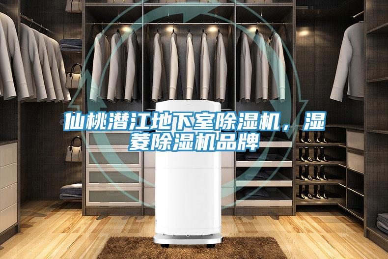 仙桃潜江地下室除湿机，湿菱除湿机品牌