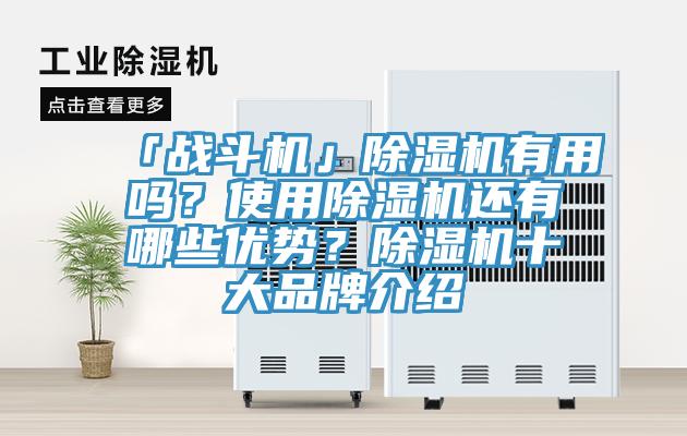 「战斗机」除湿机有用吗？使用除湿机还有哪些优势？除湿机十大品牌介绍