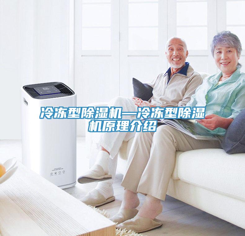 冷冻型除湿机—冷冻型除湿机原理介绍