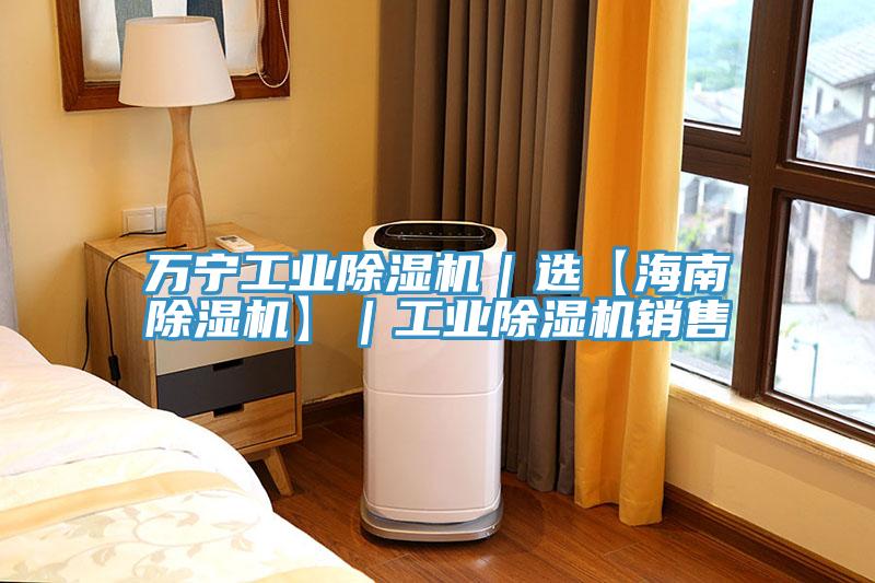 万宁工业除湿机｜选【海南除湿机】｜工业除湿机销售