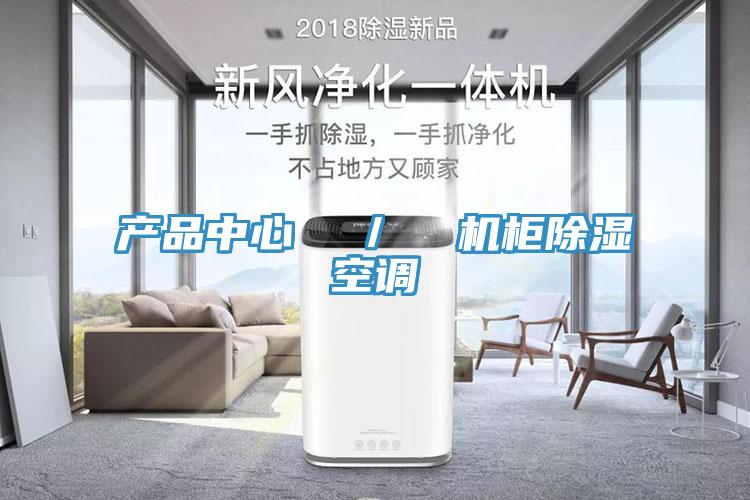产品中心  ／  机柜除湿空调