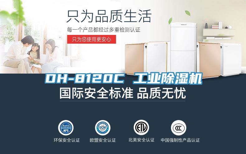 DH-8120C 工业除湿机