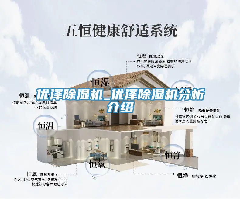 优泽除湿机_优泽除湿机分析介绍