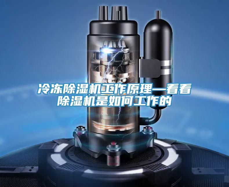冷冻除湿机工作原理—看看除湿机是如何工作的