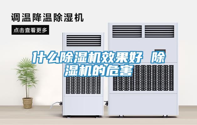 什么除湿机效果好 除湿机的危害