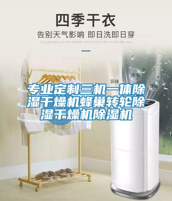 专业定制三机一体除湿干燥机蜂巢转轮除湿干燥机除湿机