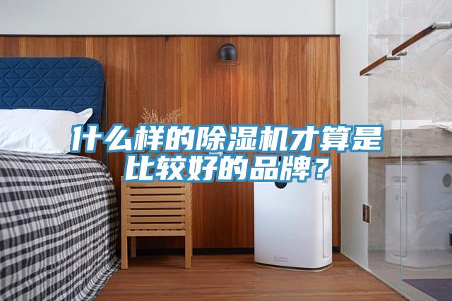 什么样的除湿机才算是比较好的品牌？