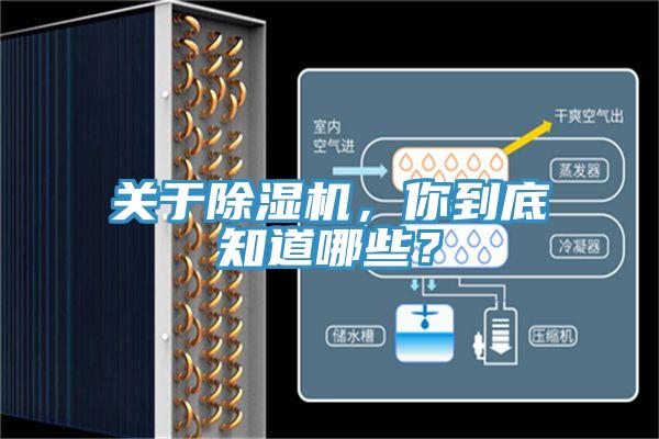 关于除湿机，你到底知道哪些？