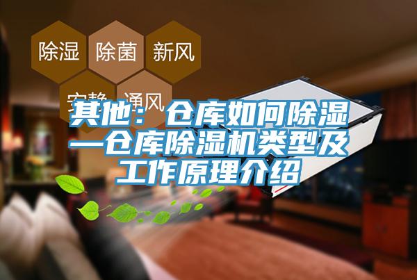 其他：仓库如何除湿—仓库除湿机类型及工作原理介绍