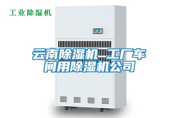 云南除湿机 工厂车间用除湿机公司