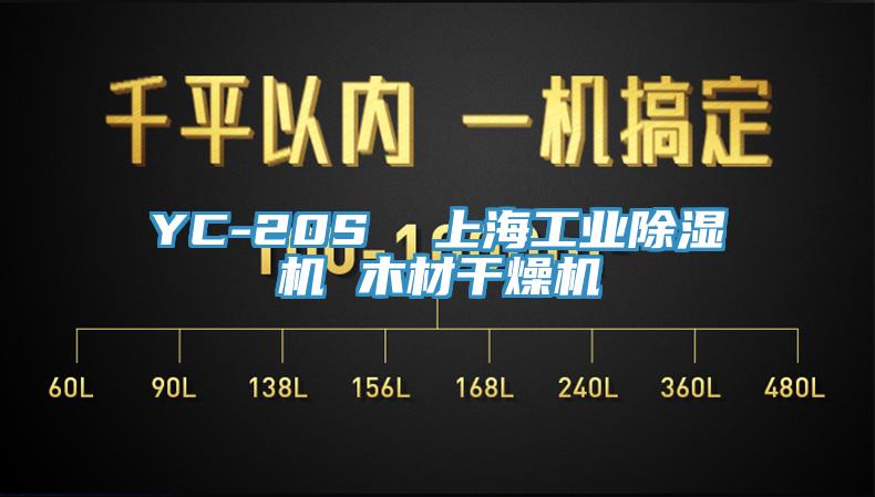 YC-20S  上海工业除湿机 木材干燥机