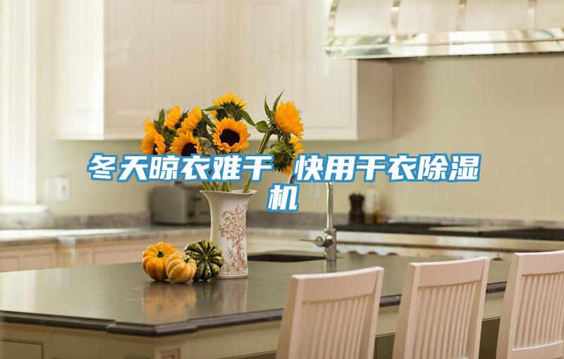 冬天晾衣难干 快用干衣除湿机