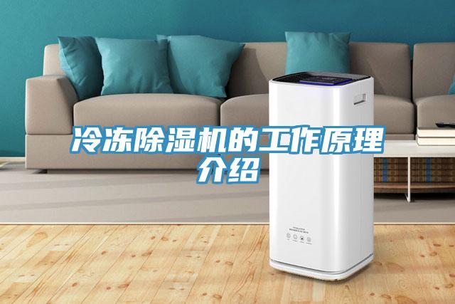 冷冻除湿机的工作原理介绍