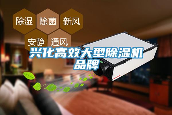 兴化高效大型除湿机品牌