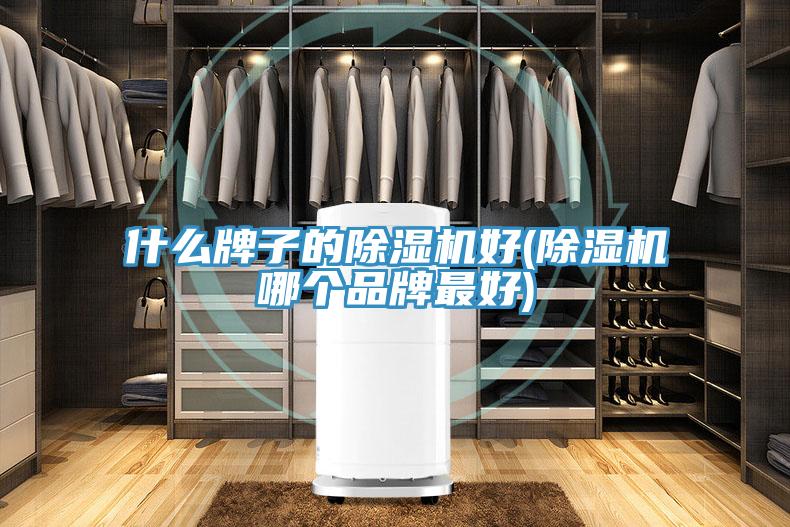 什么牌子的除湿机好(除湿机哪个品牌最好)
