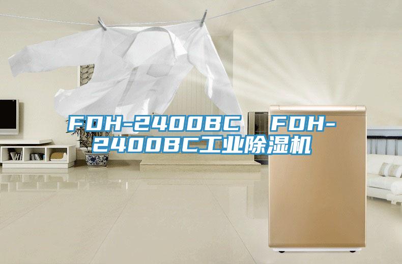 FDH-2400BC  FDH-2400BC工业除湿机