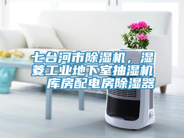 七台河市除湿机，湿菱工业地下室抽湿机  库房配电房除湿器