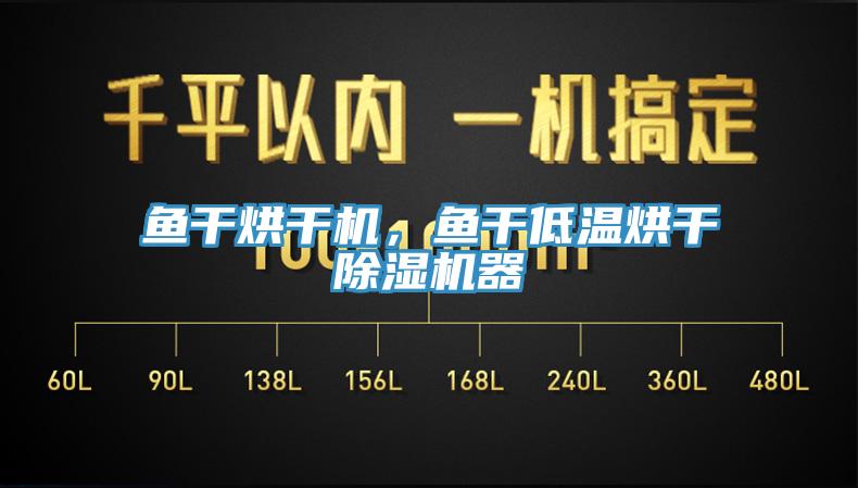 鱼干烘干机，鱼干低温烘干除湿机器