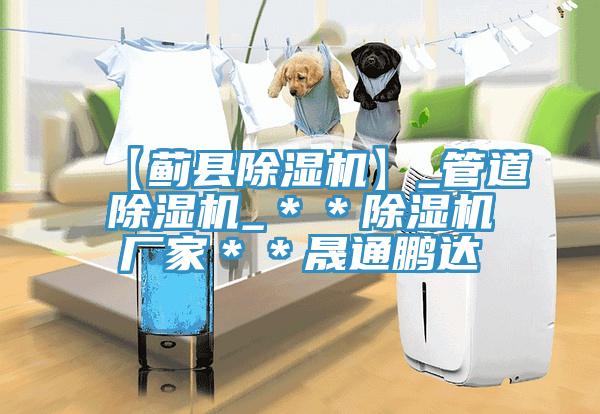 【蓟县除湿机】_管道除湿机_＊＊除湿机厂家＊＊晟通鹏达