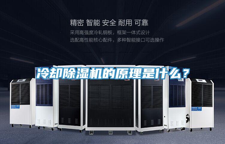 冷却除湿机的原理是什么？