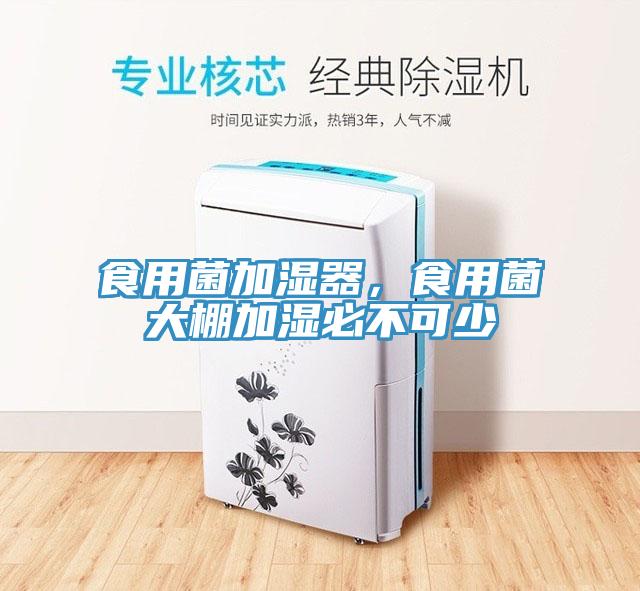 食用菌加湿器，食用菌大棚加湿必不可少