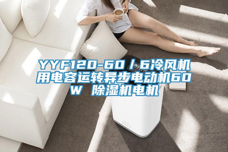 YYF120-60／6冷风机用电容运转异步电动机60W 除湿机电机