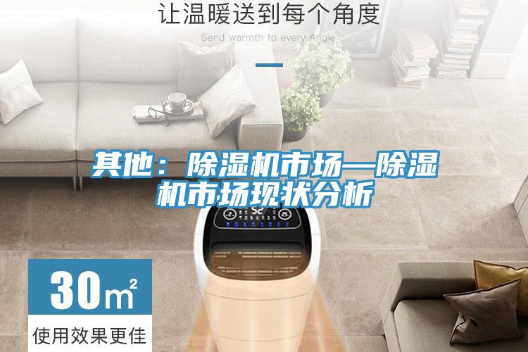 其他：除湿机市场—除湿机市场现状分析