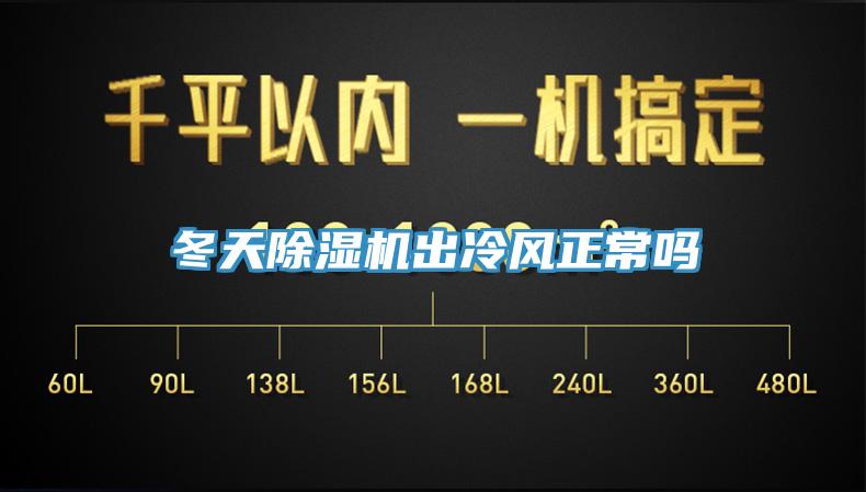 冬天除湿机出冷风正常吗