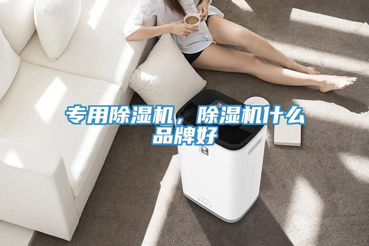 专用除湿机，除湿机什么品牌好
