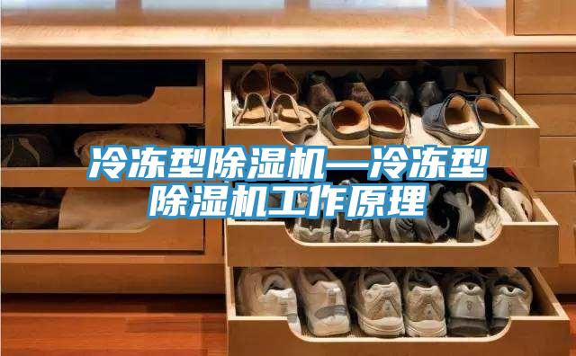 冷冻型除湿机—冷冻型除湿机工作原理