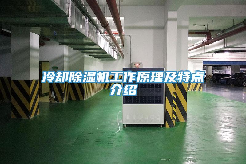 冷却除湿机工作原理及特点介绍