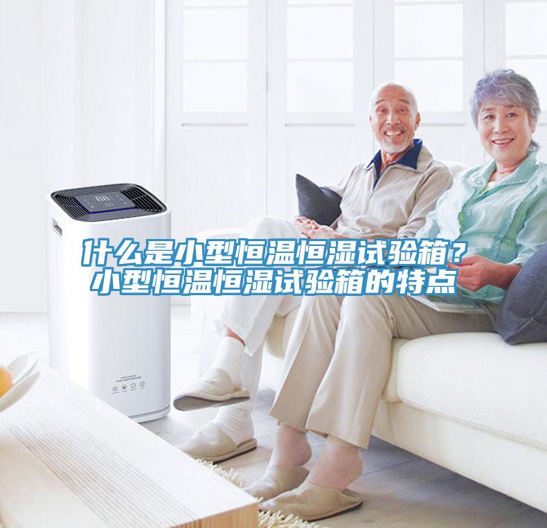 什么是小型恒温恒湿试验箱？小型恒温恒湿试验箱的特点