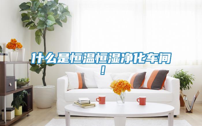 什么是恒温恒湿净化车间！