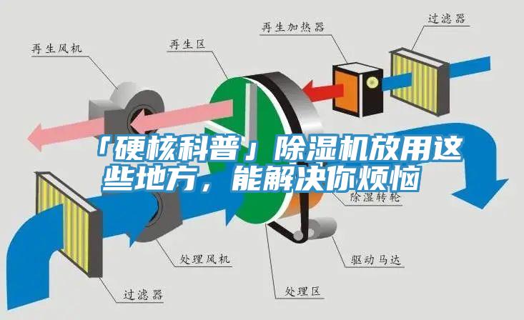 「硬核科普」除湿机放用这些地方，能解决你烦恼