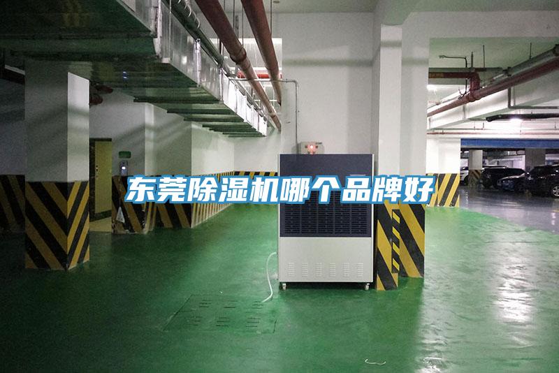 东莞除湿机哪个品牌好
