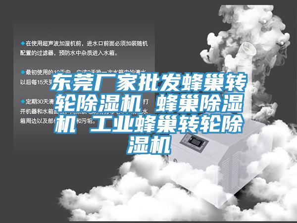 东莞厂家批发蜂巢转轮除湿机 蜂巢除湿机 工业蜂巢转轮除湿机