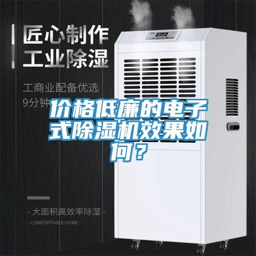 价格低廉的电子式除湿机效果如何？