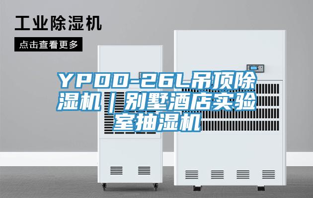 YPDD-26L吊顶除湿机｜别墅酒店实验室抽湿机