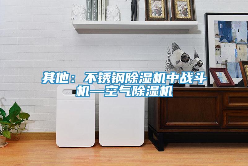 其他：不锈钢除湿机中战斗机—空气除湿机